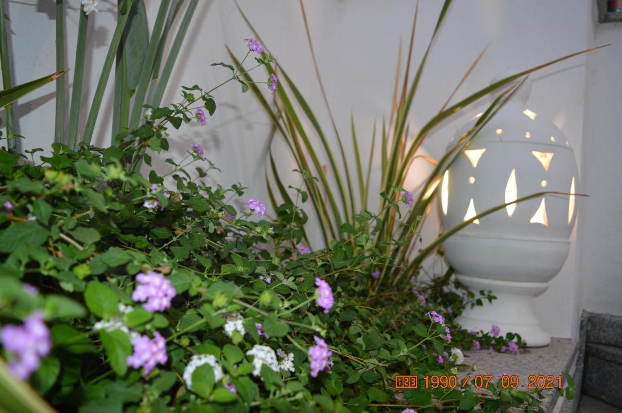 كاتانزارو Bed And Breakfast Villa Tota المظهر الخارجي الصورة