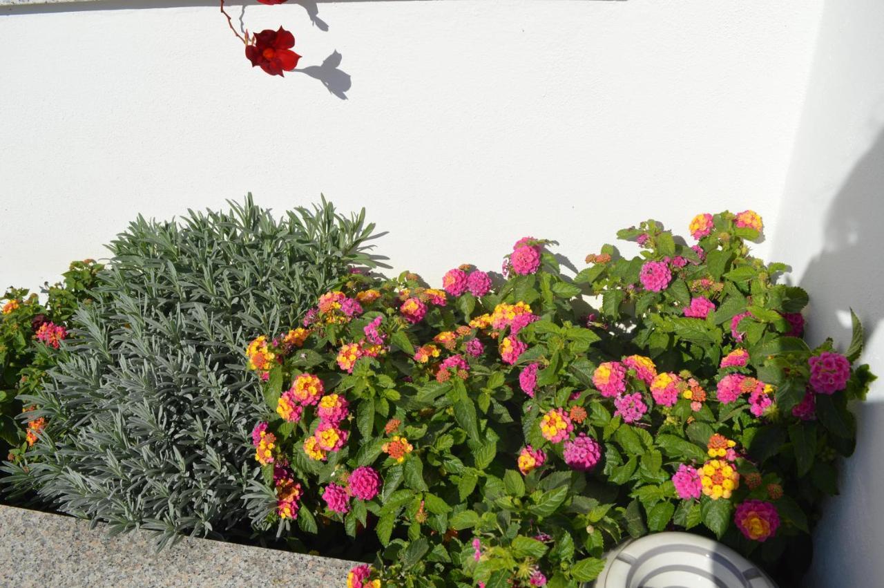 كاتانزارو Bed And Breakfast Villa Tota المظهر الخارجي الصورة